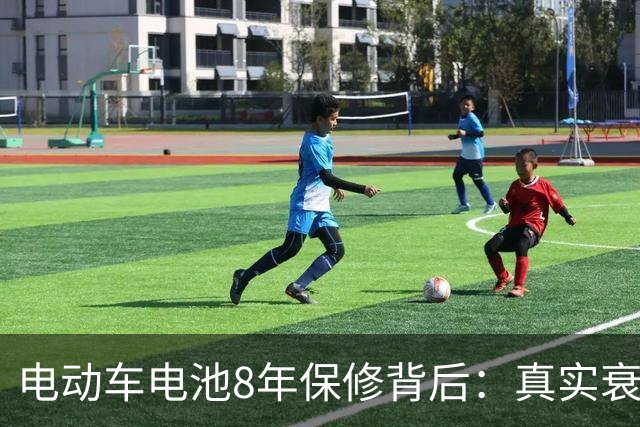 电动车电池8年保修背后：真实衰减数据颠覆耐用性质疑